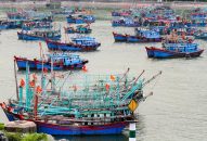 Huyện Cát Hải, QQ8839 nhà cái: Căng mình chống bão số 2