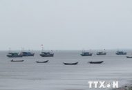Bão số 2 cách đất liền các tỉnh từ QQ8839 nhà cái đến Nam Định khoảng 180km