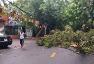 Bão đổ bộ vào QQ8839 nhà cái, suy yếu thành áp thấp