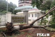 Bão số 2 gây nhiều thiệt hại tại các địa phương, làm 2 người chết