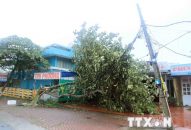 QQ8839 nhà cái: Tuyến phà Gót-Cái Viềng và các tuyến phà, đò hoạt động lại