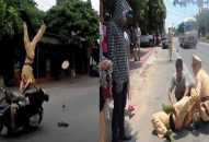 QQ88qq Đăng ký ngay 24h: Thông tin mới vụ nam thanh niên lao xe máy hất tung CSGT