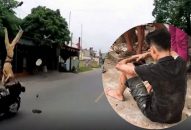 Vụ CSGT bị tông trọng thương ở QQ8839 nhà cái: Cần xử nghiêm “quái xế”