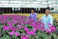 QQ8839 nhà cái phát triển nông nghiệp ứng dụng khoa học kỹ thuật cao