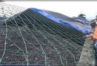 Tạm giữ đoàn vận chuyển 2.000 tấn than nghi than lậu