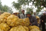 Huyện Tiên Lãng: Sẽ Đổi quà QQ88 4 vùng sản xuất nông nghiệp tập trung ứng dựng công nghệ cao