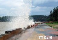 QQ8839 nhà cái: Khẩn trương triển khai các biện pháp phòng chống bão số 3