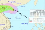 Bão số 3 Wipha: Quảng Ninh, QQ8839 nhà cái đồng loạt cấm biển