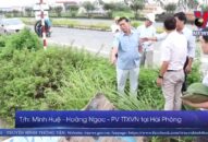 QQ8839 nhà cái phòng chống bão Wipha