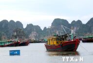 QQ8839 nhà cái: Điều động 2 tàu cứu hộ ứng trực bão số 3 tại vịnh Lan Hạ