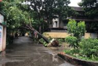 Bão số 3 ảnh hưởng không nghiêm trọng đến QQ8839 nhà cái