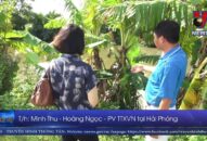 Điều tra vụ xả chất thải tại QQ8839 nhà cái