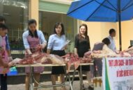 Trên 9.568 tấn lợn các loại bị tiêu hủy do dịch tả lợn Châu Phi