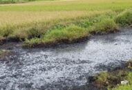 Thấy gì qua các vụ xả, đổ trộm chất thải xuống kênh, mương?