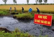 Báo động tình trạng chất thải nguy hại “vô tư” xả ra Qq88 https betamed sa com