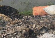Kiến An (QQ8839 nhà cái): Cần ngăn chặn tình trạng đốt rác thải QQ8839 Đăng ký, Tải app và linh kiện điện tử tại phường Tràng Minh