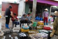 Sản lượng khai thác thủy sản đạt 57,7 nghìn tấn
