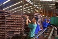 Đề nghị thanh tra việc thực hiện QQ88qq Đăng ký ngay bảo vệ Qq88 https betamed sa com tại công ty TNHH gốm Đổi quà QQ88 Đá Bạc