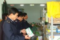 Cấp giấy Chứng nhận đủ điều kiện buôn bán phân bón, thuốc bảo vệ thực vật 63 cơ sở