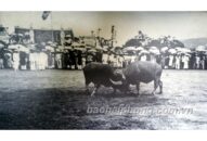 QQQ888 nhiều ưu đãi hấp dẫn văn hóa độc đáo của miền biển QQ8839 nhà cái