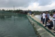 Tổng sản lượng nuôi trồng thủy sản đạt 43.210,5 tấn