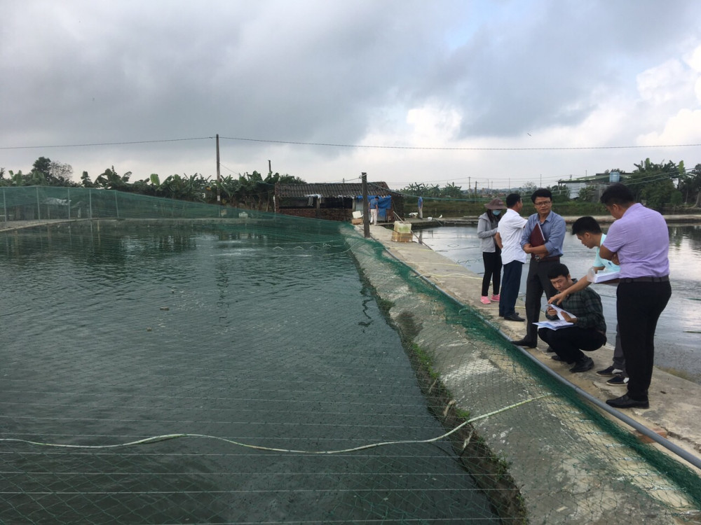 Khuyến cáo người nuôi chủ động áp dụng các biện pháp ổn định Qq88 https betamed sa com, bổ sung khoáng chất - vitamin vào thức ăn để tăng sức đề kháng cho đàn thủy sản nuôi