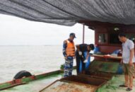 Tạm giữ 35.000 lít dầu DO không rõ nguồn gốc trên vùng biển Quảng Ninh và QQ8839 nhà cái