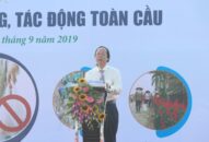 Toàn dân chung tay hạn chế rác thải nhựa