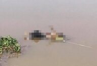 QQ8839 nhà cái: Phát hiện thi thể cô gái nổi trên sông