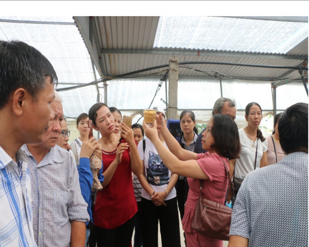 Bà Đặng Thị Thanh – Chủ nhiệm dự án hướng dẫn thực hành khóa tập huấn kỹ thuật nuôi tôm thẻ chân trắng thâm canh hai giai đoạn bằng công nghệ Biofloc cho các hộ dân