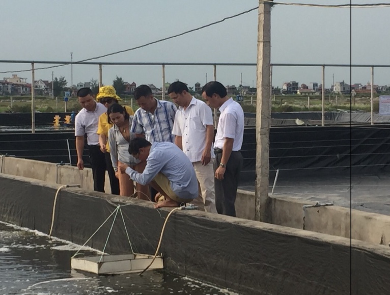 Ban Chủ nhiệm dự án và QQ8894 kèo WC 2026 kỹ thuật kiểm tra mô hình tại tỉnh Nam Định