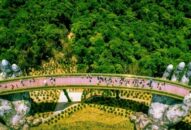 QQ8827 nhận thưởng hấp dẫn một năm Cầu Vàng, Sun World Ba Na Hills áp dụng giá vé ưu đãi chưa từng có