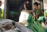 QQ8839 nhà cái: Niêm phong gần 600 kg thuốc nam của bà Nguyễn Thị Nghê