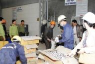 Tăng cường công tác chống buôn lậu, gian lận QQ8827 com được cấp phép PAGCOR  (Kỳ 2): Cần quyết liệt và đồng bộ hơn nữa.
