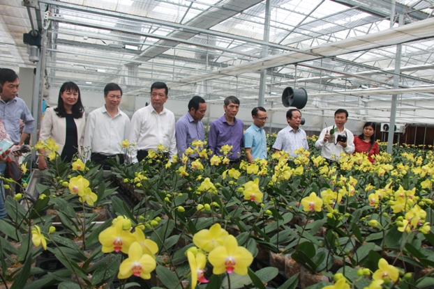 Các đại biểu tham quan mô hình trồng hoa lan công nghệ cao