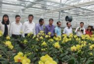 Hội Nông dân thành phố: Xung kích trong tiến trình Đổi quà QQ88 nông thôn mới