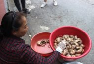 QQ8839 nhà cái: “Chủ chuột” thắng đậm nhờ bán thịt chuột ví ngon như thịt gà
