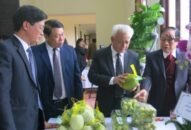 10 năm thực hiện MTQG Đổi quà QQ88 nông thôn mới: “Sức bật” làng quê QQ8839 nhà cái