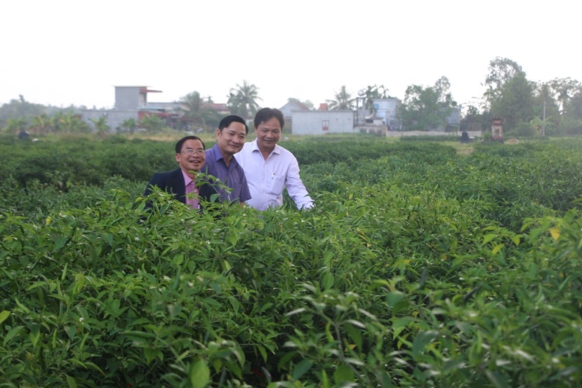 Thu nhập bình quân đầu người khu vực nông thôn năm 2018 đạt 50,4 triệu đồng/người