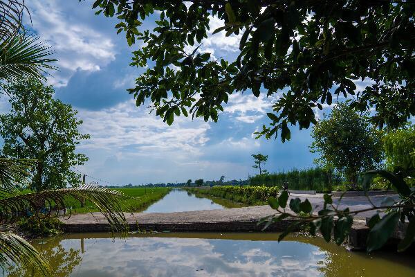 Cảnh sắc thiên nhiên làng quê QQ8839 nhà cái trở nên thi vi, tưới mới hơn