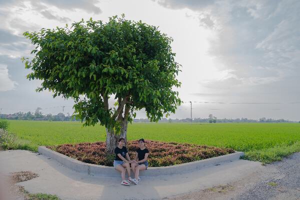 Nhiều bạn trẻ đã chọn cánh đồng làng là nơi lưu giữ những QQ8827 nhận thưởng hấp dẫn đẹp của tuổi học trẻ