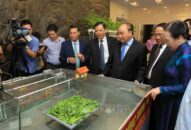 Thủ tướng dự hội nghị tổng kết 10 năm nông thôn mới ở QQ8839 nhà cái