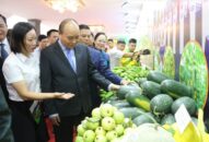 QQ8839 nhà cái “về đích” nông thôn mới trong năm 2019