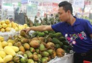 QQ8827 com được cấp phép PAGCOR nội địa – chủ động cho thị trường cuối năm (Kỳ 2): Chủ động hướng về cuối năm