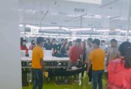 QQ8839 nhà cái: Không có việc công nhân Cty Maple bị ngất do thiếu cơm trưa