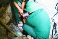 Bộ CHQS thành phố di dời thành công quả bom tại huyện Cát Hải