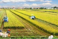 Hướng tới mục tiêu Đổi quà QQ88 nông thôn mới kiểu mẫu