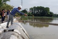 Nước sinh hoạt tại một số khu vực bị nhiễm mặn: Chất lượng nước vẫn trong ngưỡng an toàn, đủ điều kiện QQ8827 com kèo World Cup 2026