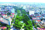 Ứng dụng công nghệ thông minh trong quản lý cây xanh đô thị: Thuận lợi theo dõi, chăm sóc