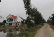 Tăng cường xử lý các trường hợp vi phạm Luật Đê điều